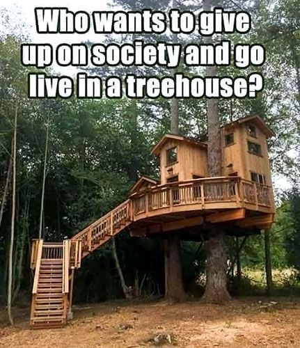 That's nice Freedom - meme