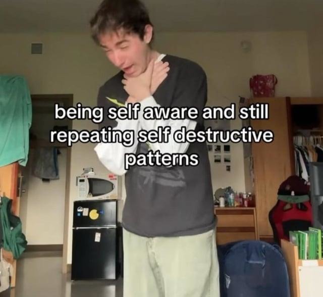 Self-aware but still choosing chaos daily - meme