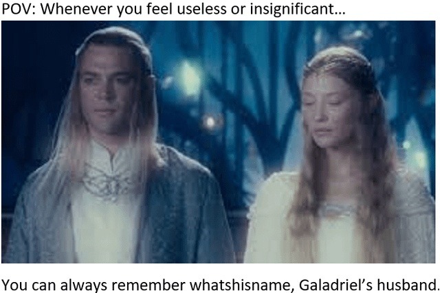 Feeling useless? Remember Galadriel’s husband exists - meme