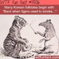 Smokin tigers