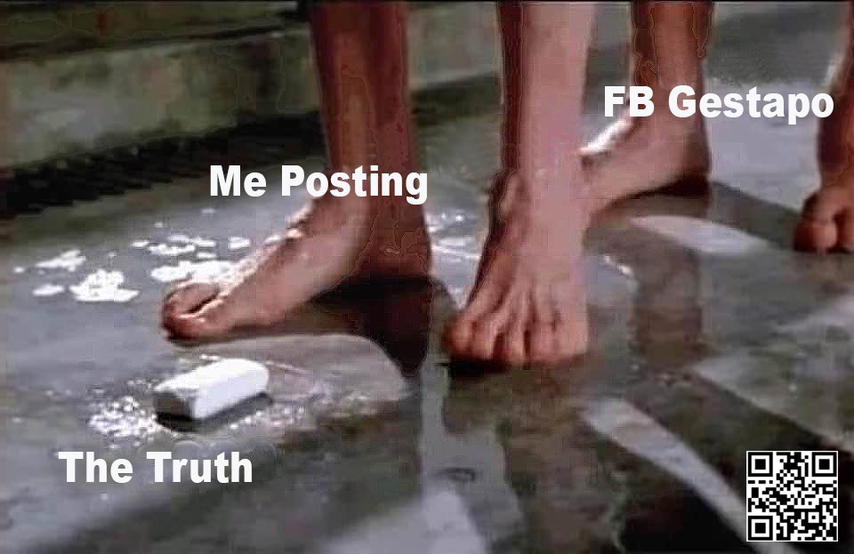 Posting the Truth - meme