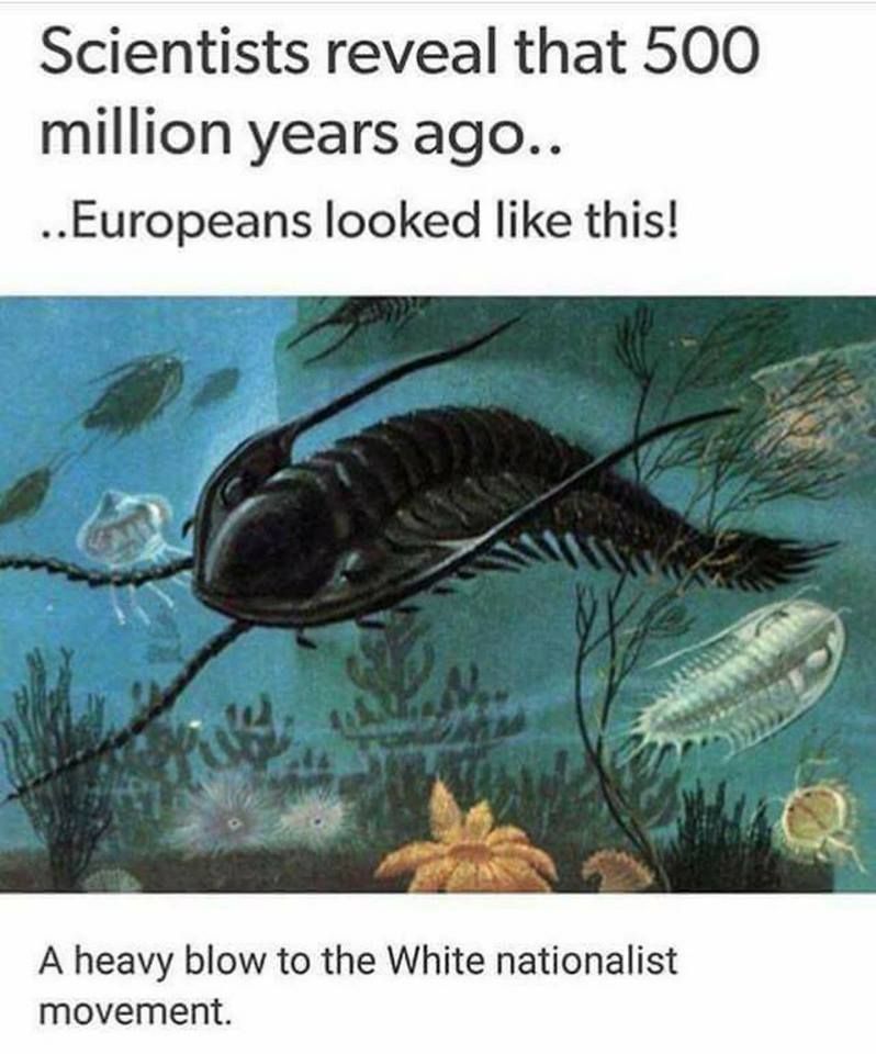 "Europeans used to be black" argument - meme