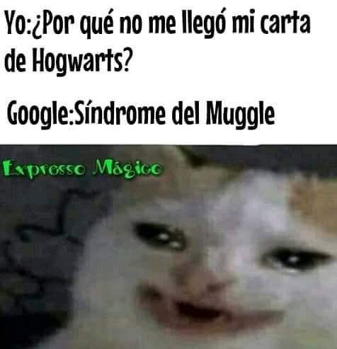 Muggle XD - meme
