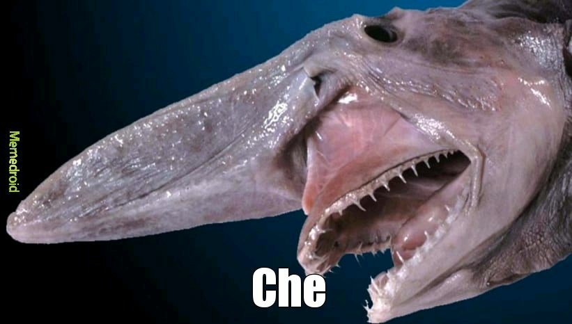 Se llama tiburón duende - meme