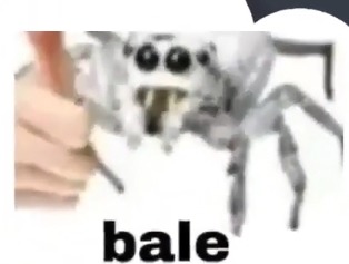 Bale - meme