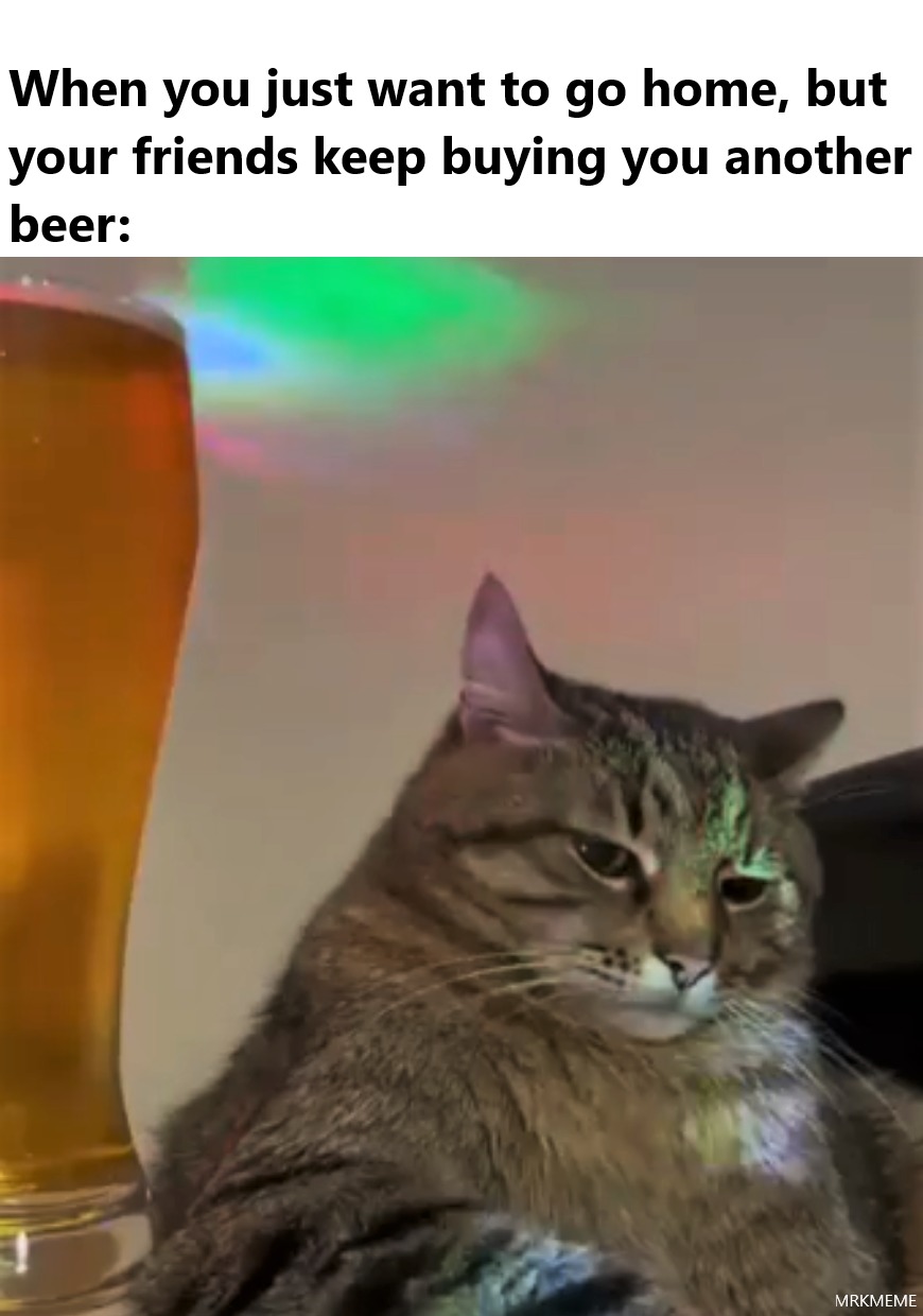 Beer, beer and more beer - meme