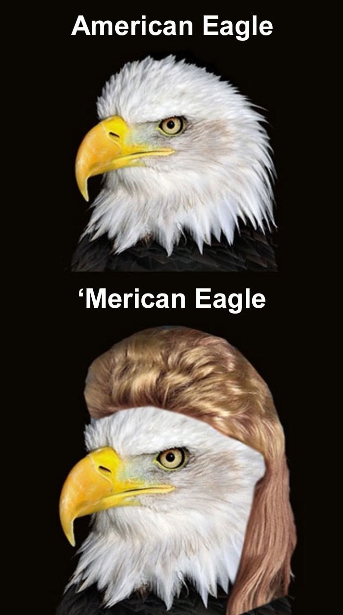 American Eagle - meme