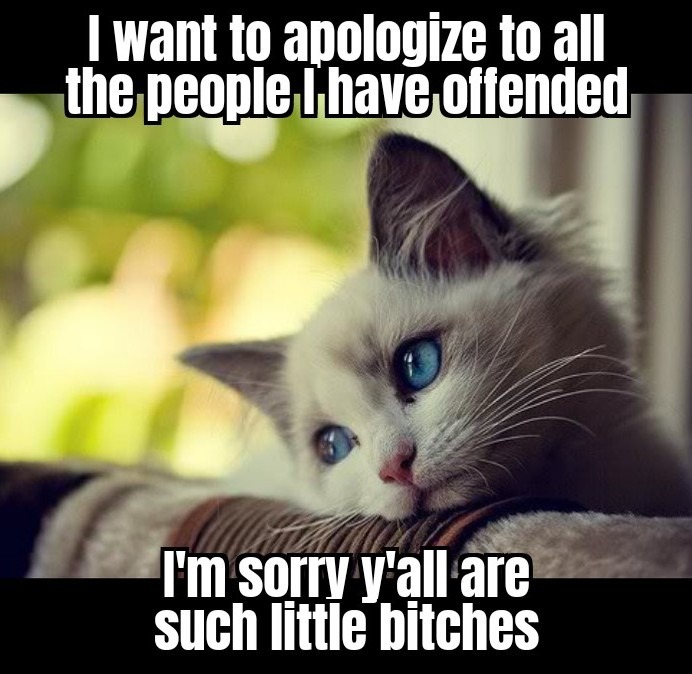 My only apology - meme