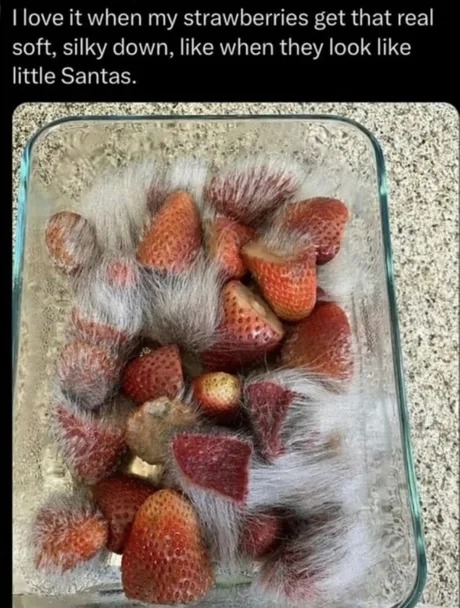 Strawberries meme