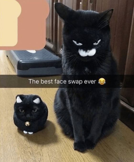 best face swap - meme