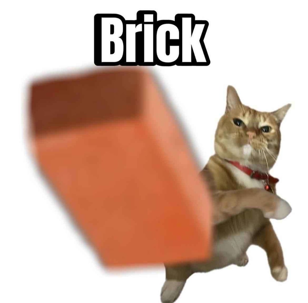 Duck - meme