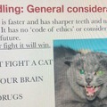 commented item thumbnail