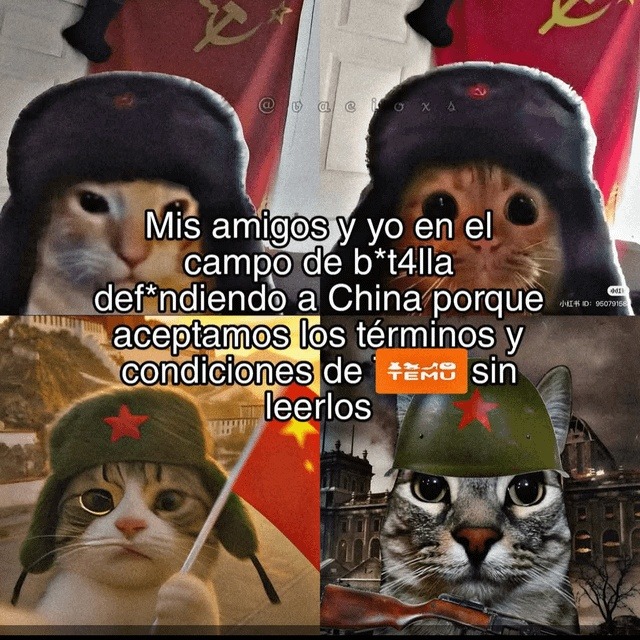 mis panas y yo en batalla por aceptar términos de apps sin leer nada - meme