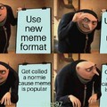 Meme is popular