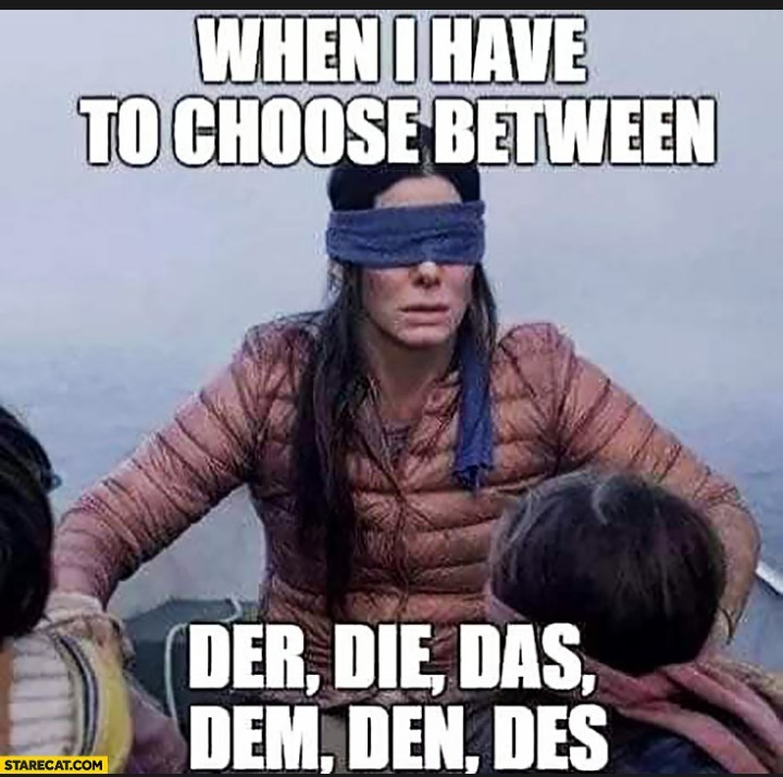Every German Lessons - meme