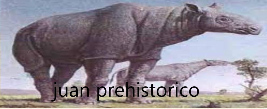 Baluchitherium nombre científico: juan prehistórico - meme