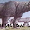 Baluchitherium nombre científico: juan prehistórico