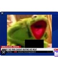 Kermit caught in 4k