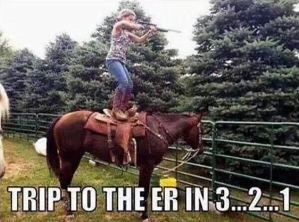 unless that horsey is trained.... - meme