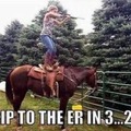 unless that horsey is trained....