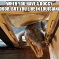 POV: just another day in Louisiana XD
