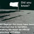 Flags in the moon
