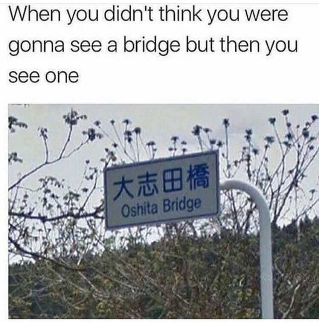 Oh shit a bridge! - meme