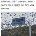 Oh shit a bridge!