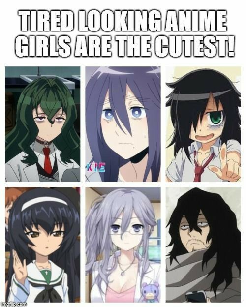 Trad : les filles fatiguée d'anime sont les plus mignonne - meme