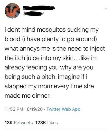 The real problem with mosquitos is dengue or malaria - meme
