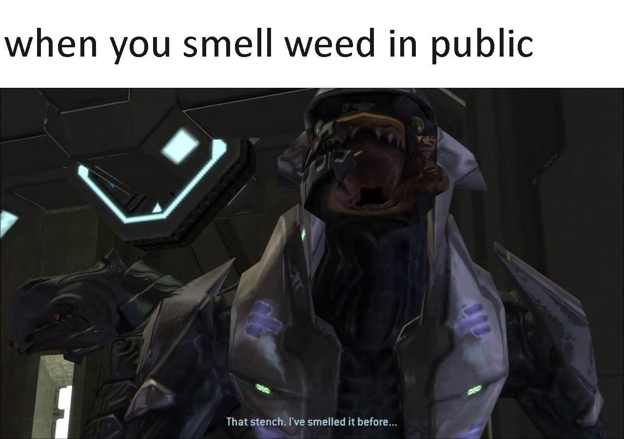 WEED - meme