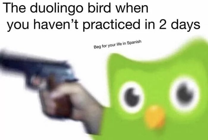 Puto Duolingo de mierda - meme