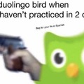Puto Duolingo de mierda