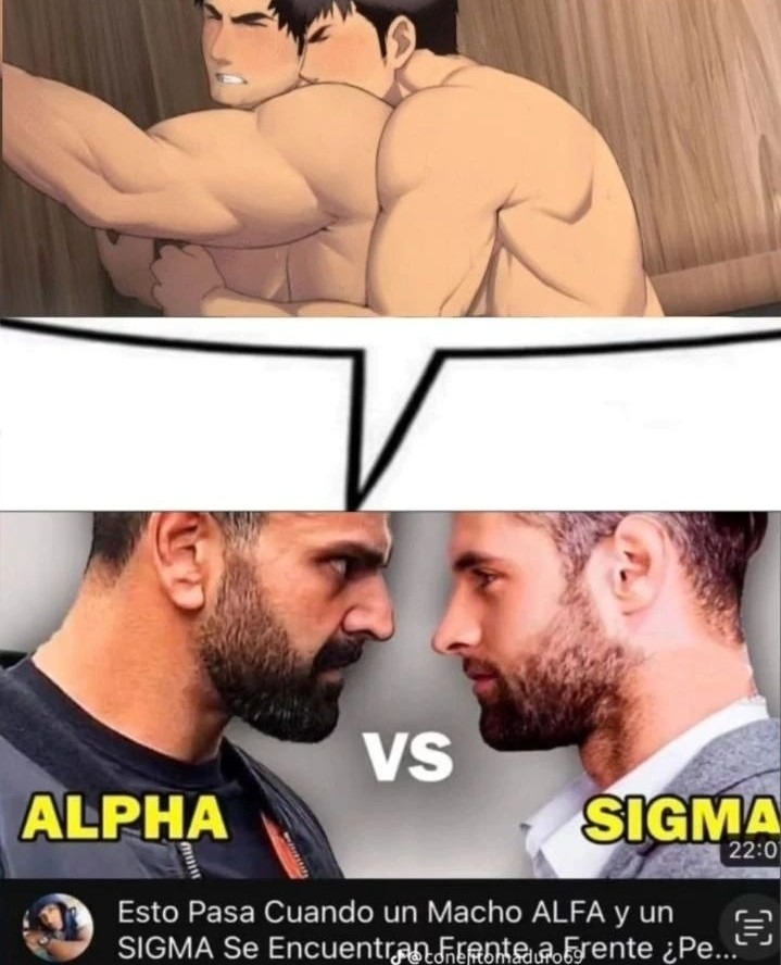 Alpha vs sigma - meme
