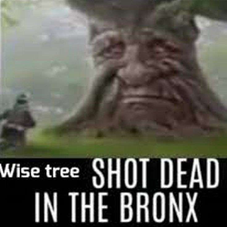 Dead Tree Memes The 2nd One. The Guy Was Aiming For The House , #tree