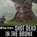 commented item thumbnail