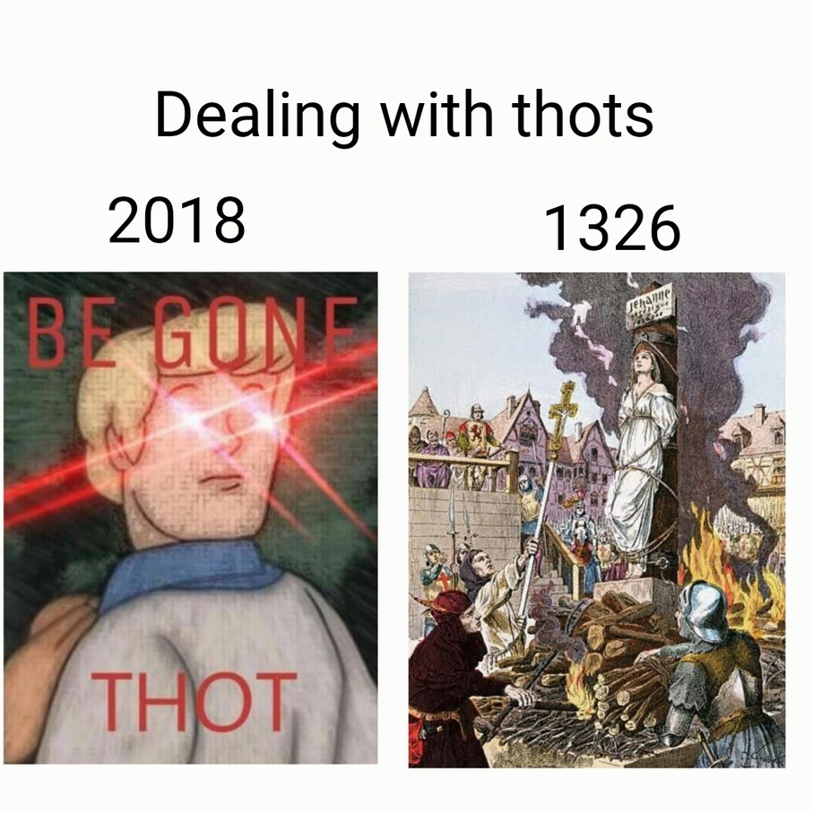 Back when they got rid of thots the proper way - meme