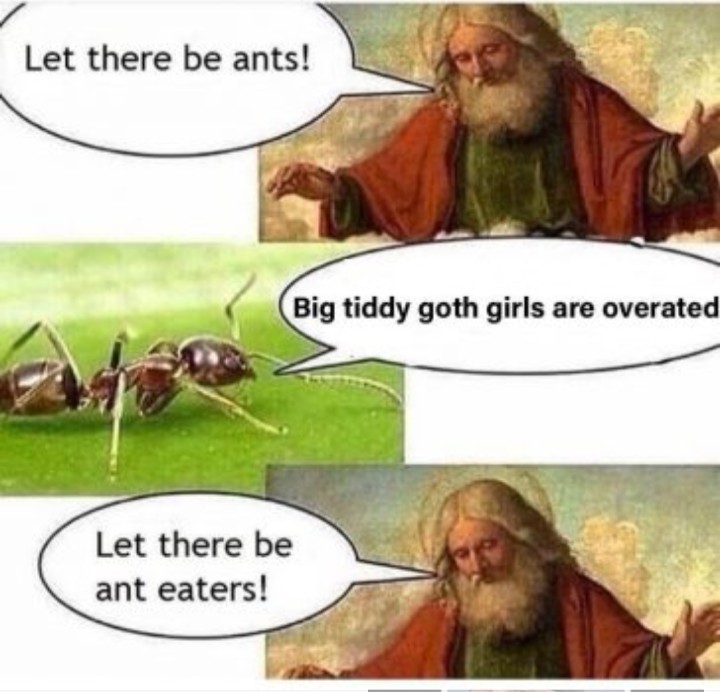 I eat ants for breakfast - meme
