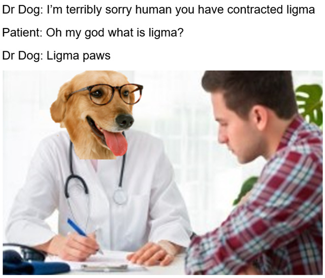 Dog doctor - meme