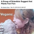 Vegans