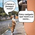 Cuabdo los niños son peor que animales