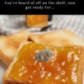 For those who don't get it, it's a tardigrade in marmalade :cool: