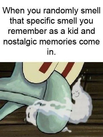 That one random smell that unlocks your whole childhood - meme