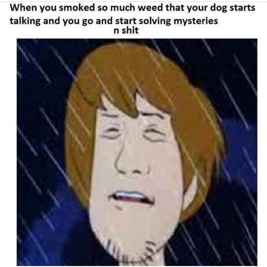 Like this is it Scoobs... - meme