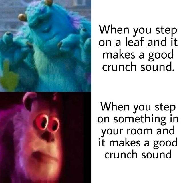 When you step on a leaf and it makes a good crunch sound - meme