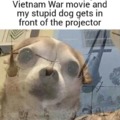 Vietman war