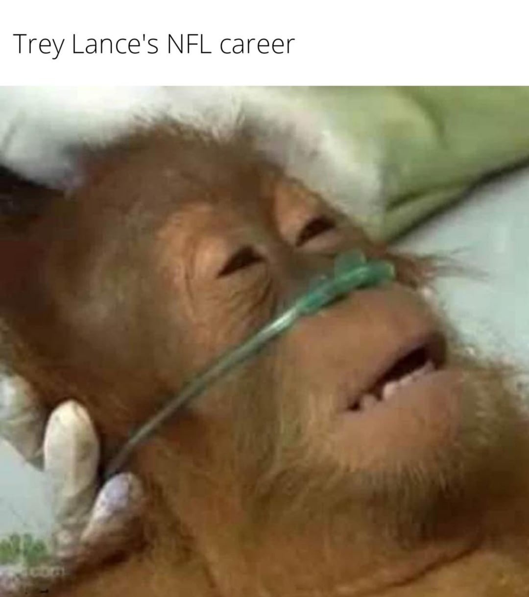 Trey Lance's NFL career - meme