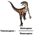 Velociraptor equation