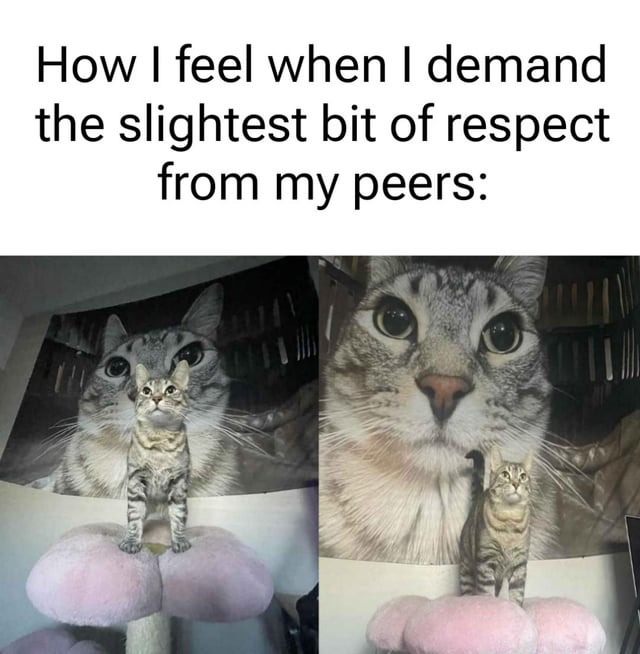 Respect me - meme