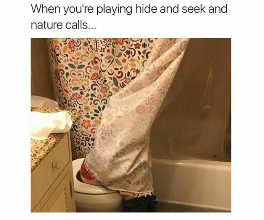 Hide and pee - meme